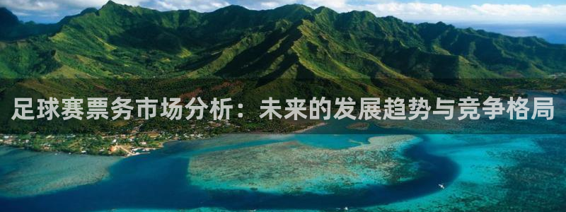 足球赛票务市场分析：未来的发展趋势与
