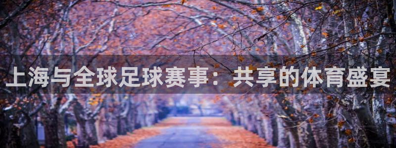 上海与全球足球赛事：共享的体育盛宴