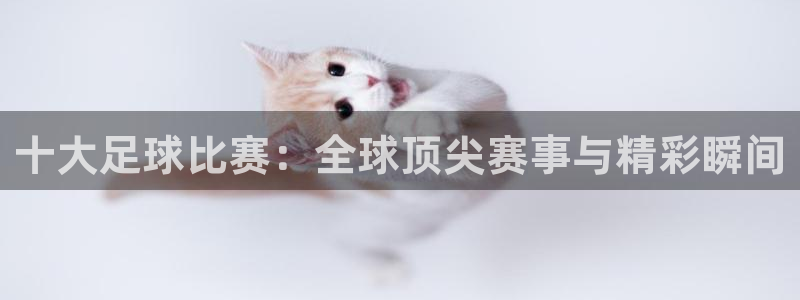 十大足球比赛：全球顶尖赛事与精彩瞬间
