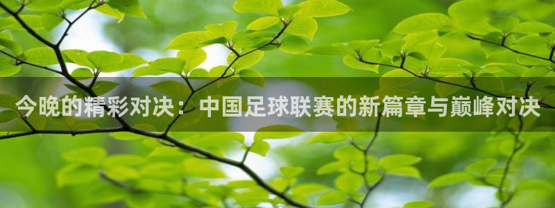 今晚的精彩对决：中国足球联赛的新篇章