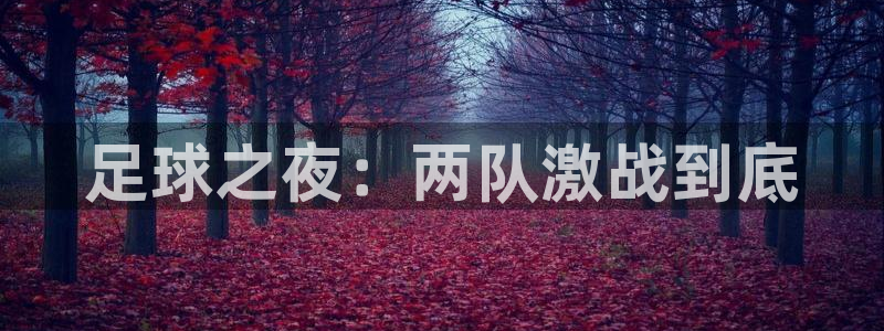 足球之夜：两队激战到底