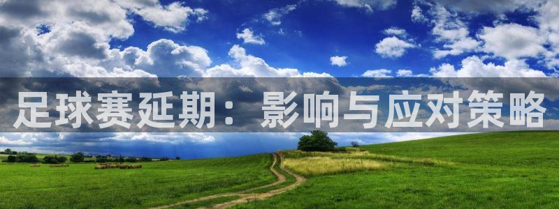 足球赛延期：影响与应对策略