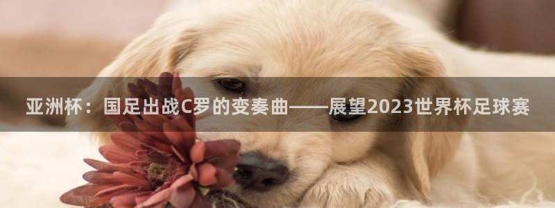 亚洲杯：国足出战C罗的变奏曲——展望