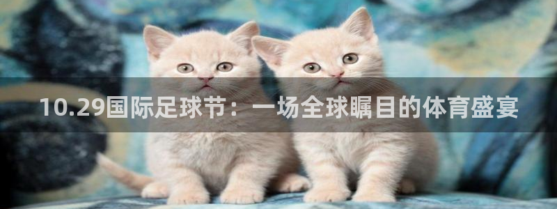 10.29国际足球节：一场全球瞩目的