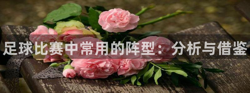 足球比赛中常用的阵型：分析与借鉴