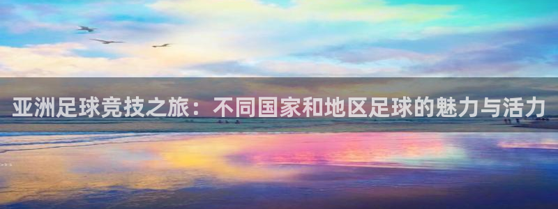  亚洲足球竞技之旅：不同国家和地区足球的魅力与活力