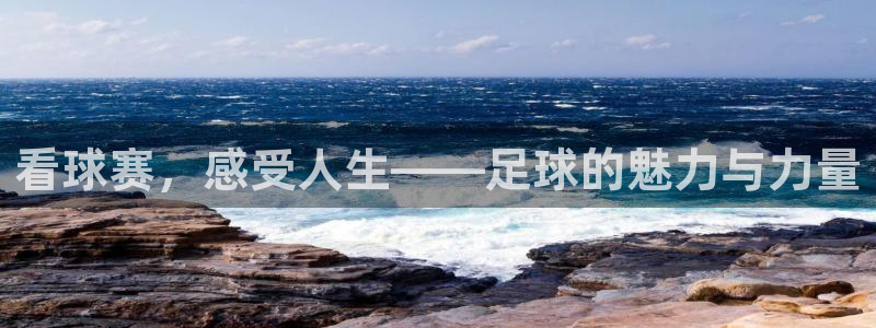 看球赛，感受人生——足球的魅力与力量