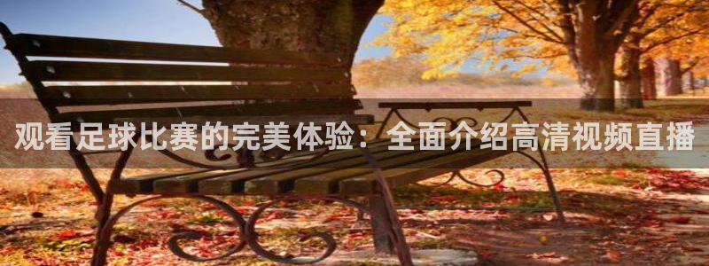  观看足球比赛的完美体验：全面介绍高清视频直播