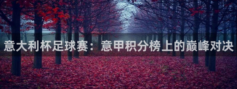  意大利杯足球赛：意甲积分榜上的巅峰对决