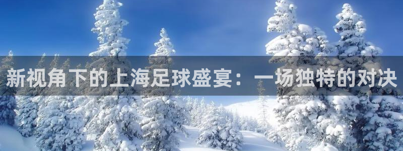 新视角下的上海足球盛宴：一场独特的对决