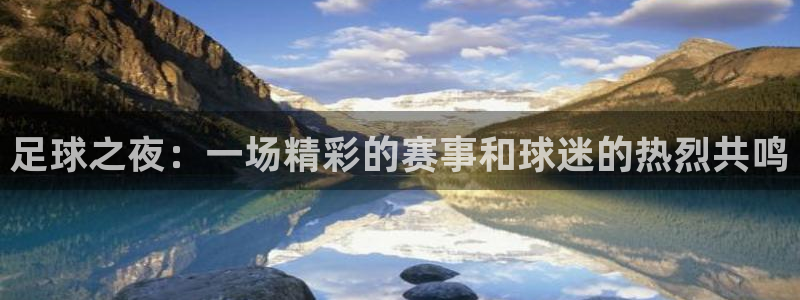 足球之夜：一场精彩的赛事和球迷的热烈