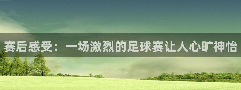 赛后感受：一场激烈的足球赛让人心旷神