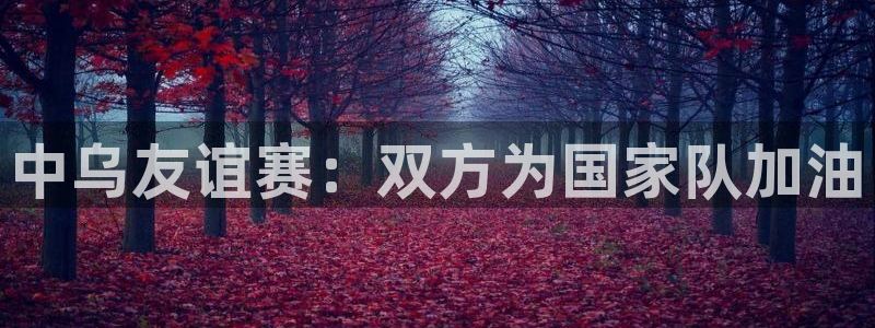 中乌友谊赛：双方为国家队加油