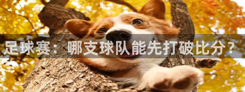 足球赛：哪支球队能先打破比分？