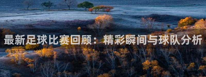 最新足球比赛回顾：精彩瞬间与球队分析