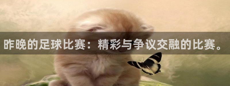 昨晚的足球比赛：精彩与争议交融的比赛