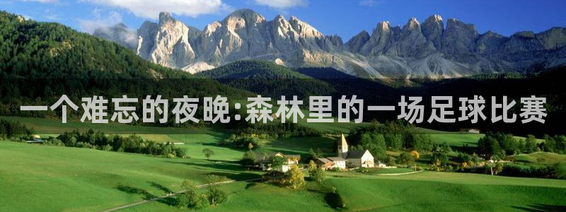 一个难忘的夜晚:森林里的一场足球比赛