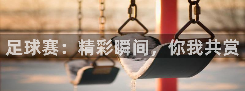 足球赛：精彩瞬间，你我共赏