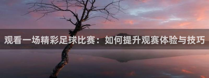 观看一场精彩足球比赛：如何提升观赛体