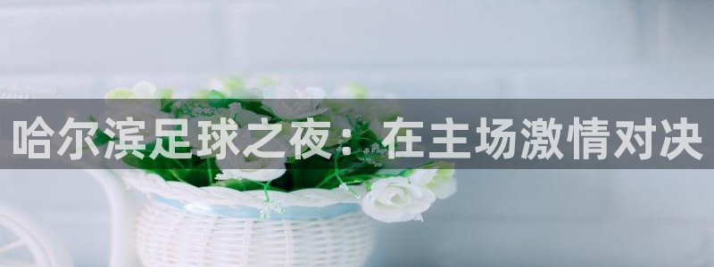  哈尔滨足球之夜：在主场激情对决