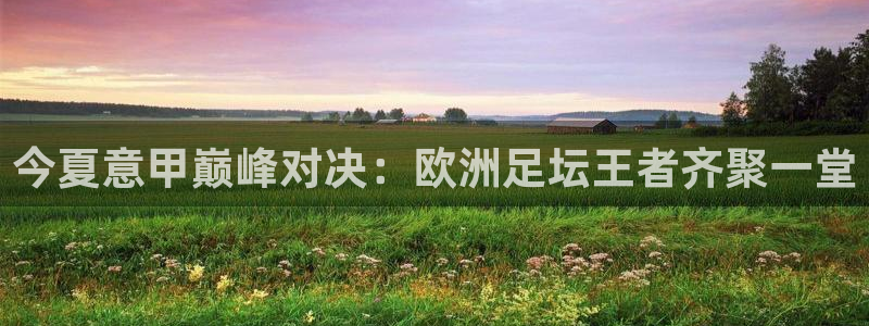  今夏意甲巅峰对决：欧洲足坛王者齐聚一堂