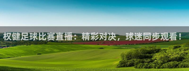  权健足球比赛直播：精彩对决，球迷同步观看！