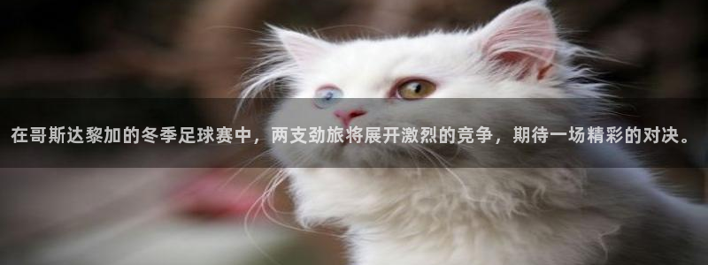  在哥斯达黎加的冬季足球赛中，两支劲旅将展开激烈的竞争，期待一