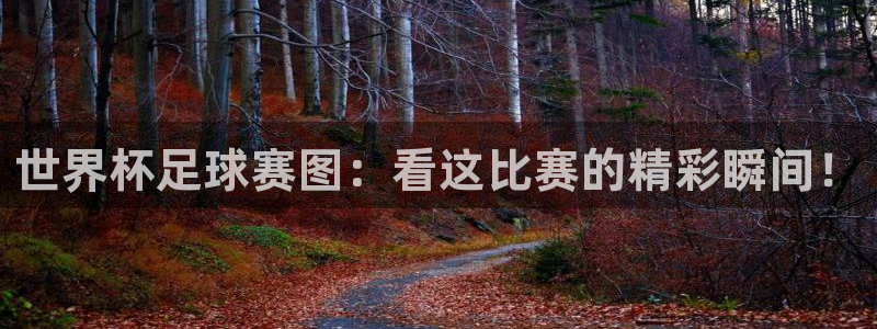  世界杯足球赛图：看这比赛的精彩瞬间！