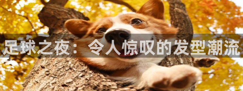  足球之夜：令人惊叹的发型潮流