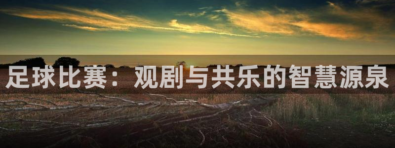  足球比赛：观剧与共乐的智慧源泉