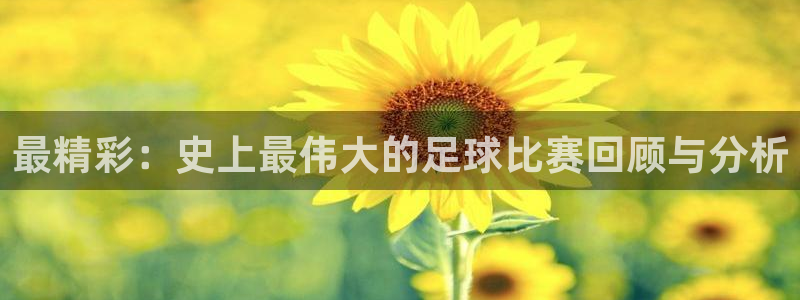 最精彩：史上最伟大的足球比赛回顾与分析