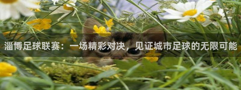  淄博足球联赛：一场精彩对决，见证城市足球的无限可能