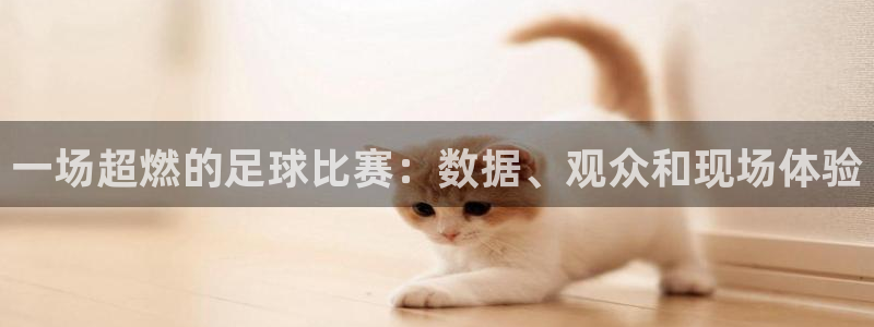  一场超燃的足球比赛：数据、观众和现场体验