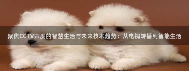 360体育足球雨燕直播：聚焦CCTV六度的智慧生活与未来技术趋势：从电视转播到智能生活