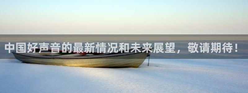 雨燕直播360高清直播nba：中国好声音的最新情况和未来展望，敬请期待！