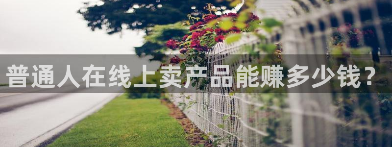 雨燕360足球高清直播：普通人在线上卖产品能赚多少钱？