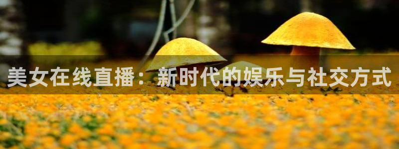 雨燕360体育无插件直播：美女在线直播：新时代的娱乐与社交方式