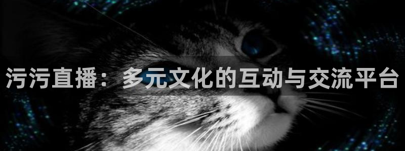 360直播体育在线观看：污污直播：多元文化的互动与交流平台