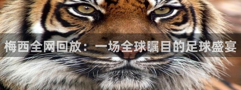 360雨燕直播篮球：梅西全网回放：一场全球瞩目的足球盛宴